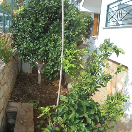 Vila Vasili بورش