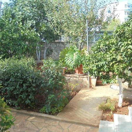 Vila Vasili *